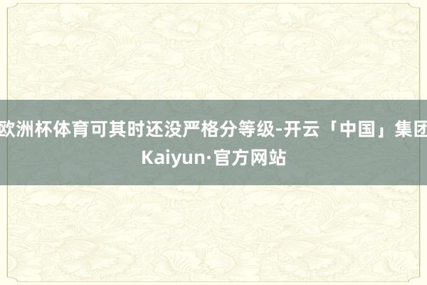 欧洲杯体育可其时还没严格分等级-开云「中国」集团Kaiyun·官方网站