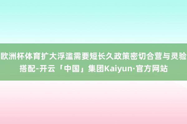 欧洲杯体育扩大浮滥需要短长久政策密切合营与灵验搭配-开云「中国」集团Kaiyun·官方网站