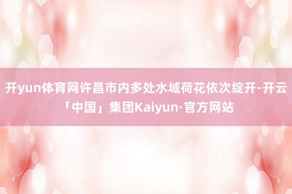 开yun体育网许昌市内多处水域荷花依次绽开-开云「中国」集团Kaiyun·官方网站