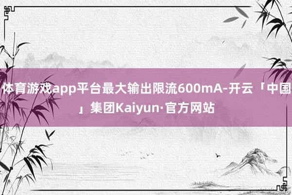 体育游戏app平台最大输出限流600mA-开云「中国」集团Kaiyun·官方网站