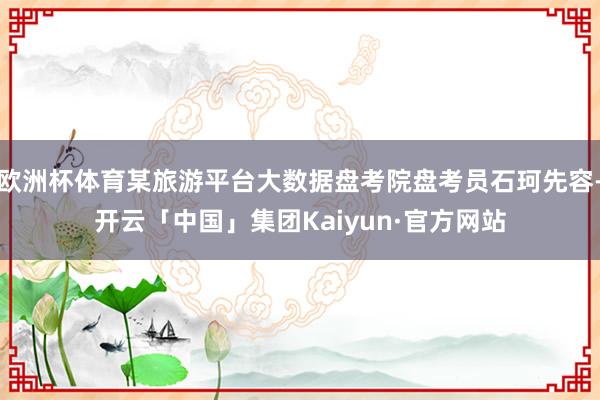 欧洲杯体育某旅游平台大数据盘考院盘考员石珂先容-开云「中国」集团Kaiyun·官方网站