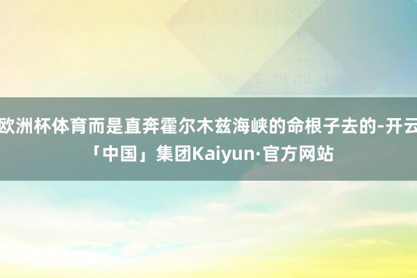 欧洲杯体育而是直奔霍尔木兹海峡的命根子去的-开云「中国」集团Kaiyun·官方网站