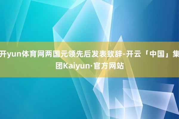 开yun体育网两国元领先后发表致辞-开云「中国」集团Kaiyun·官方网站