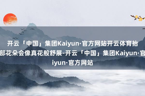 开云「中国」集团Kaiyun·官方网站开云体育抬手时肩部花朵会像真花般舒展-开云「中国」集团Kaiyun·官方网站