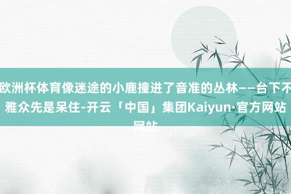 欧洲杯体育像迷途的小鹿撞进了音准的丛林——台下不雅众先是呆住-开云「中国」集团Kaiyun·官方网站