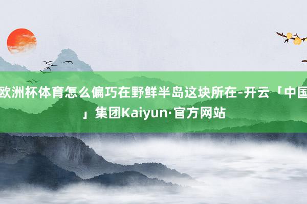 欧洲杯体育怎么偏巧在野鲜半岛这块所在-开云「中国」集团Kaiyun·官方网站