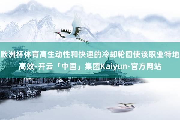 欧洲杯体育高生动性和快速的冷却轮回使该职业特地高效-开云「中国」集团Kaiyun·官方网站