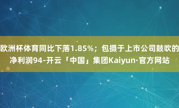 欧洲杯体育同比下落1.85%;包摄于上市公司鼓吹的净利润94-开云「中国」集团Kaiyun·官方网站