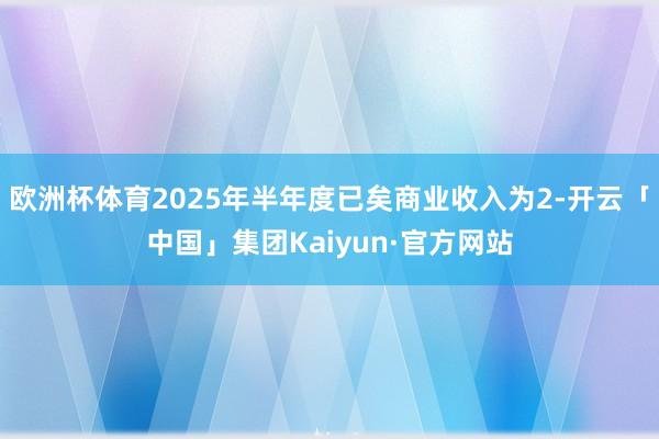 欧洲杯体育2025年半年度已矣商业收入为2-开云「中国」集团Kaiyun·官方网站